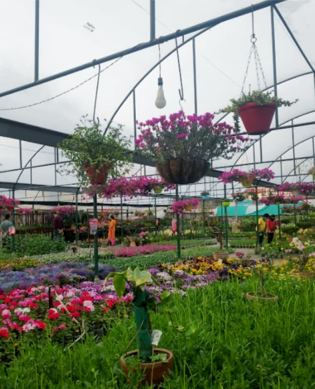 Everything your garden needs, in one place.